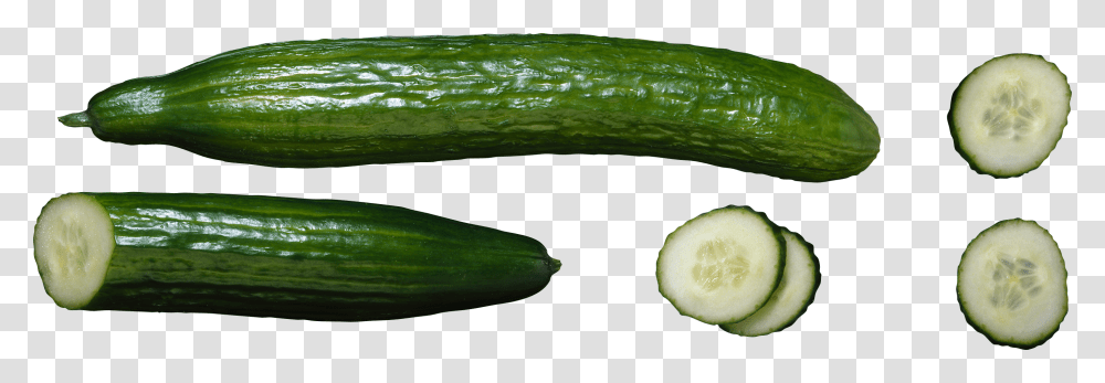 Cucumber, Vegetable, Plant, Food Transparent Png