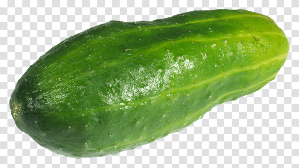 Cucumber, Vegetable, Plant, Food Transparent Png