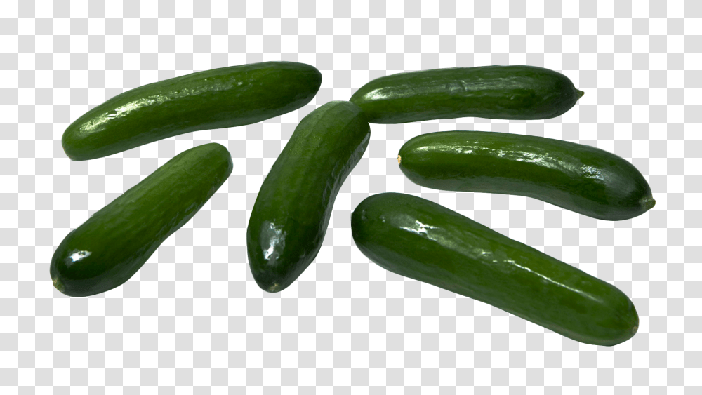 Cucumber, Vegetable, Plant, Food Transparent Png