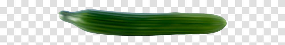 Cucumber, Vegetable, Plant, Pencil, Food Transparent Png