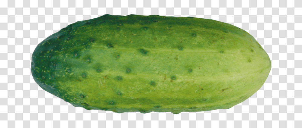Cucumber, Vegetable, Relish, Food, Plant Transparent Png