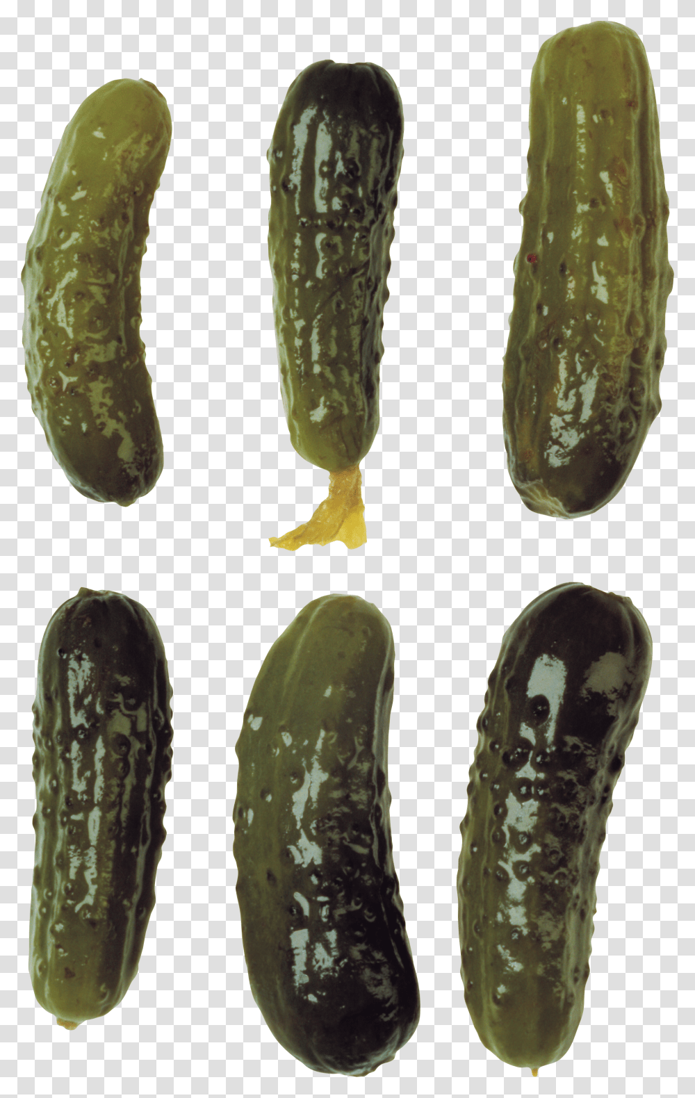 Cucumber, Vegetable, Relish, Food, Plant Transparent Png