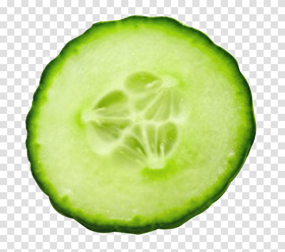 Cucumber, Vegetable, Tennis Ball, Sport, Sports Transparent Png