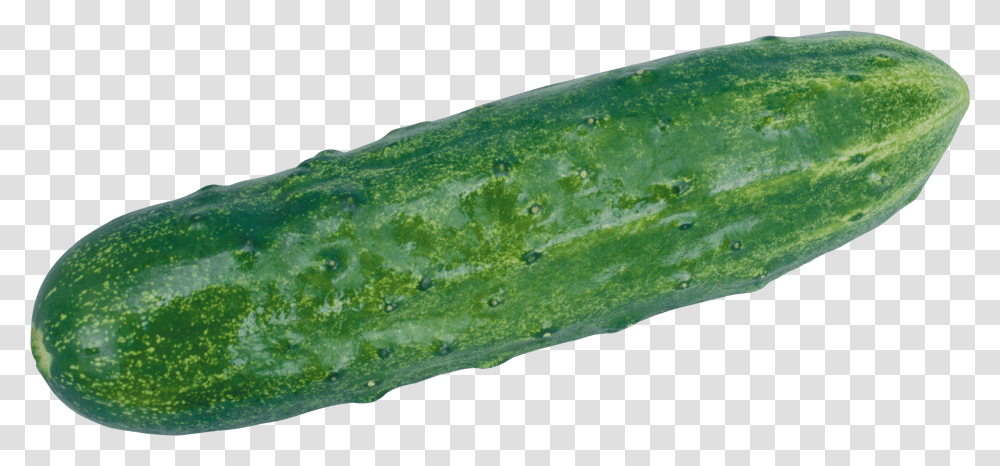 Cucumber, Vegetable Transparent Png