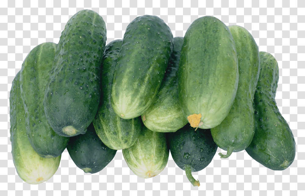 Cucumber, Vegetable Transparent Png