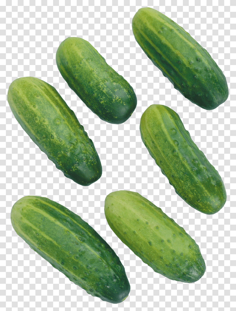 Cucumber, Vegetable Transparent Png