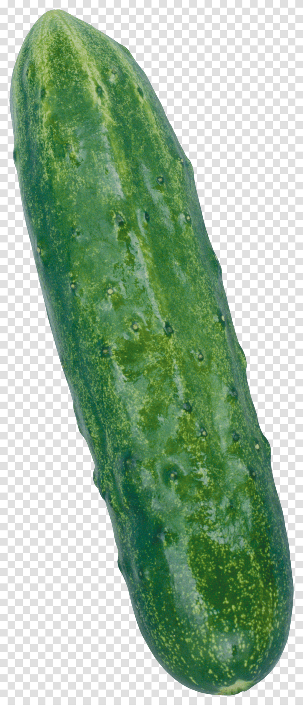 Cucumber, Vegetable Transparent Png