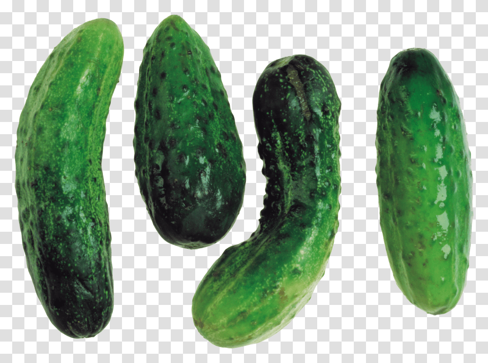 Cucumber, Vegetable Transparent Png