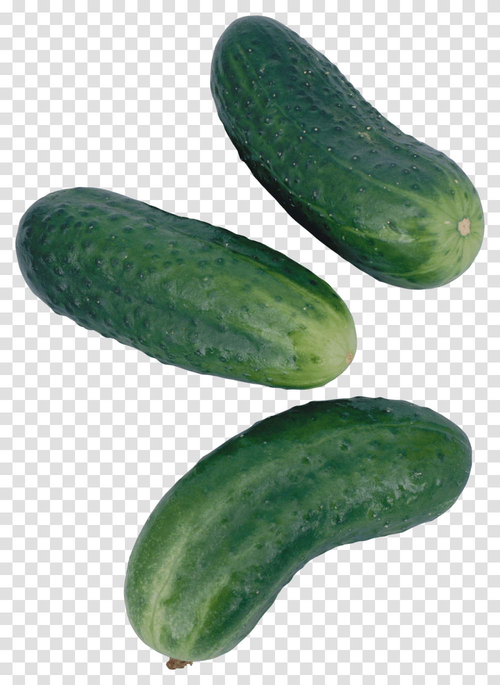 Cucumber, Vegetable Transparent Png