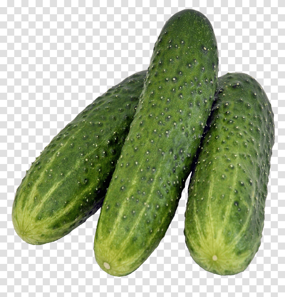 Cucumber, Vegetable Transparent Png