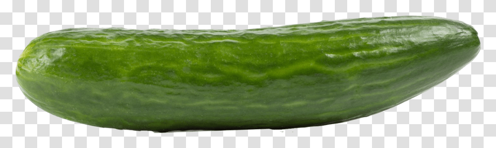 Cucumber Walmart, Plant, Vegetable, Food Transparent Png