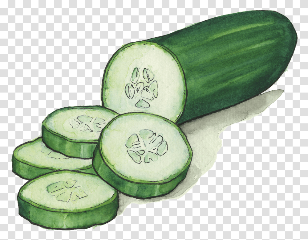 Cucumbers Background Cucumbers Clipart, Plant, Vegetable, Food, Sliced Transparent Png