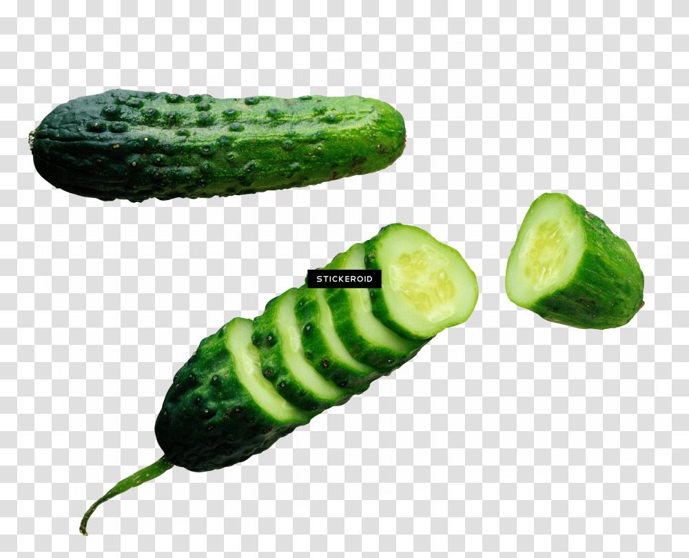 Cucumbers Cucumber Ogurci, Plant, Vegetable, Food, Sliced Transparent Png