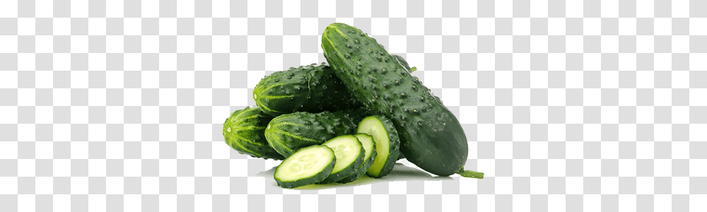 Cucumbers Cucumber, Plant, Vegetable, Food, Fungus Transparent Png