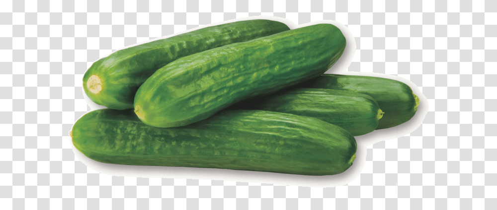 Cucumbers Cucumber Puff Bar, Vegetable, Plant, Food, Snake Transparent Png
