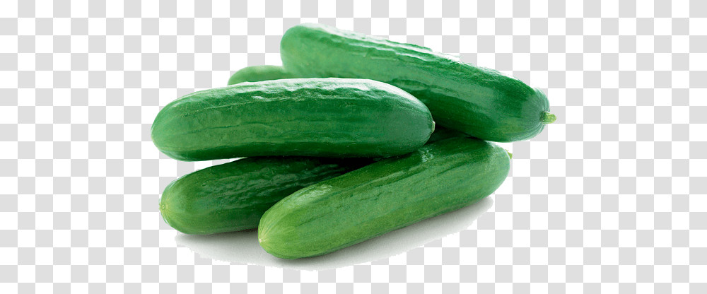 Cucumbers Picture, Vegetable, Plant, Food, Snake Transparent Png