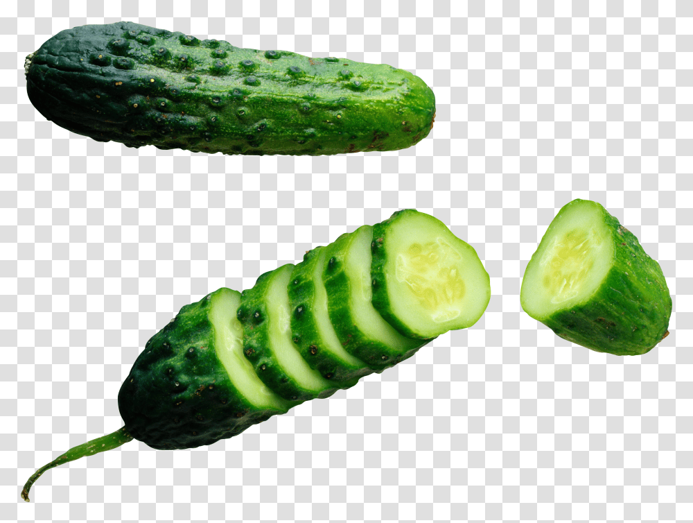 Cucumbers, Plant, Vegetable, Food, Pickle Transparent Png