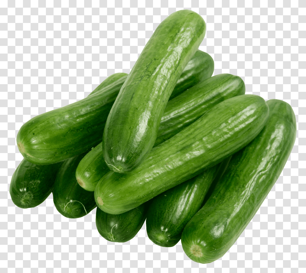 Cucumbers, Plant, Vegetable, Food Transparent Png