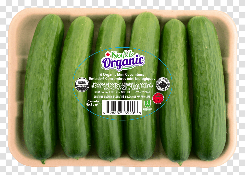 Cucumbers Transparent Png