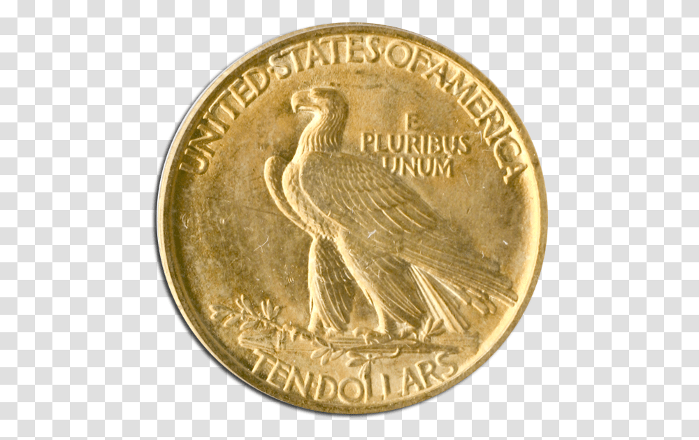 Cuerpo De Bomberos Chillan, Coin, Money, Gold, Bird Transparent Png