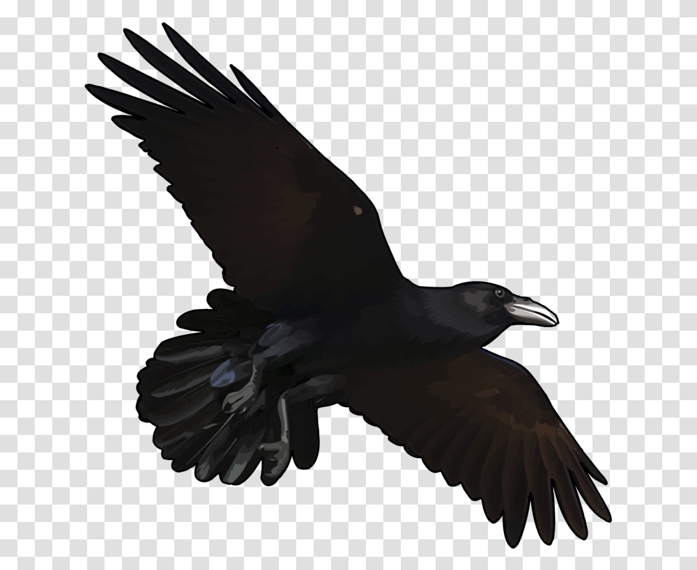 Cuervo Volando Dibujo, Bird, Animal, Flying Transparent Png