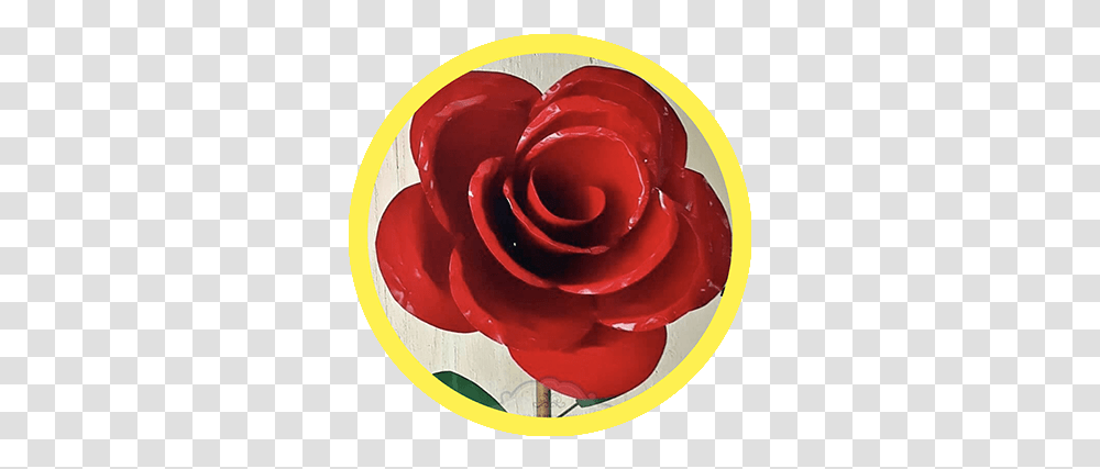 Cuevas Imports Garden Roses, Flower, Plant, Blossom, Sweets Transparent Png