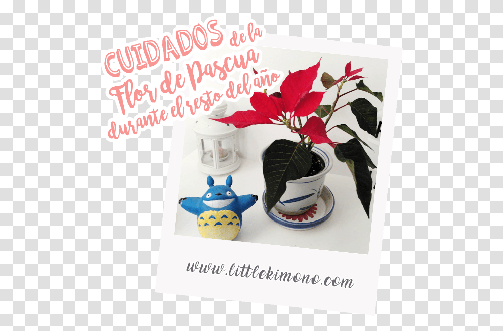 Cuidados De La Flor De Pascua Durante El Resto Del Poinsettia, Toy, Plant, Advertisement, Paper Transparent Png