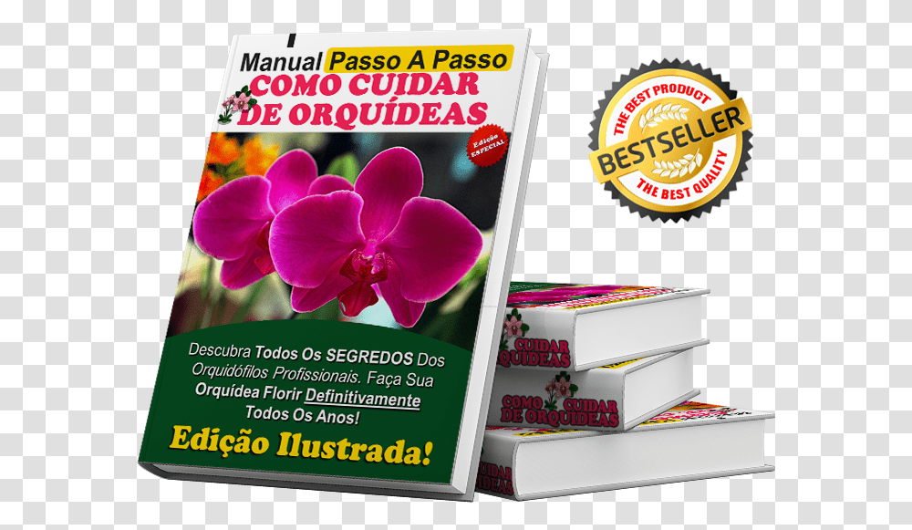 Cuidar De Orquideas Moth Orchid, Flyer, Poster, Paper, Advertisement Transparent Png
