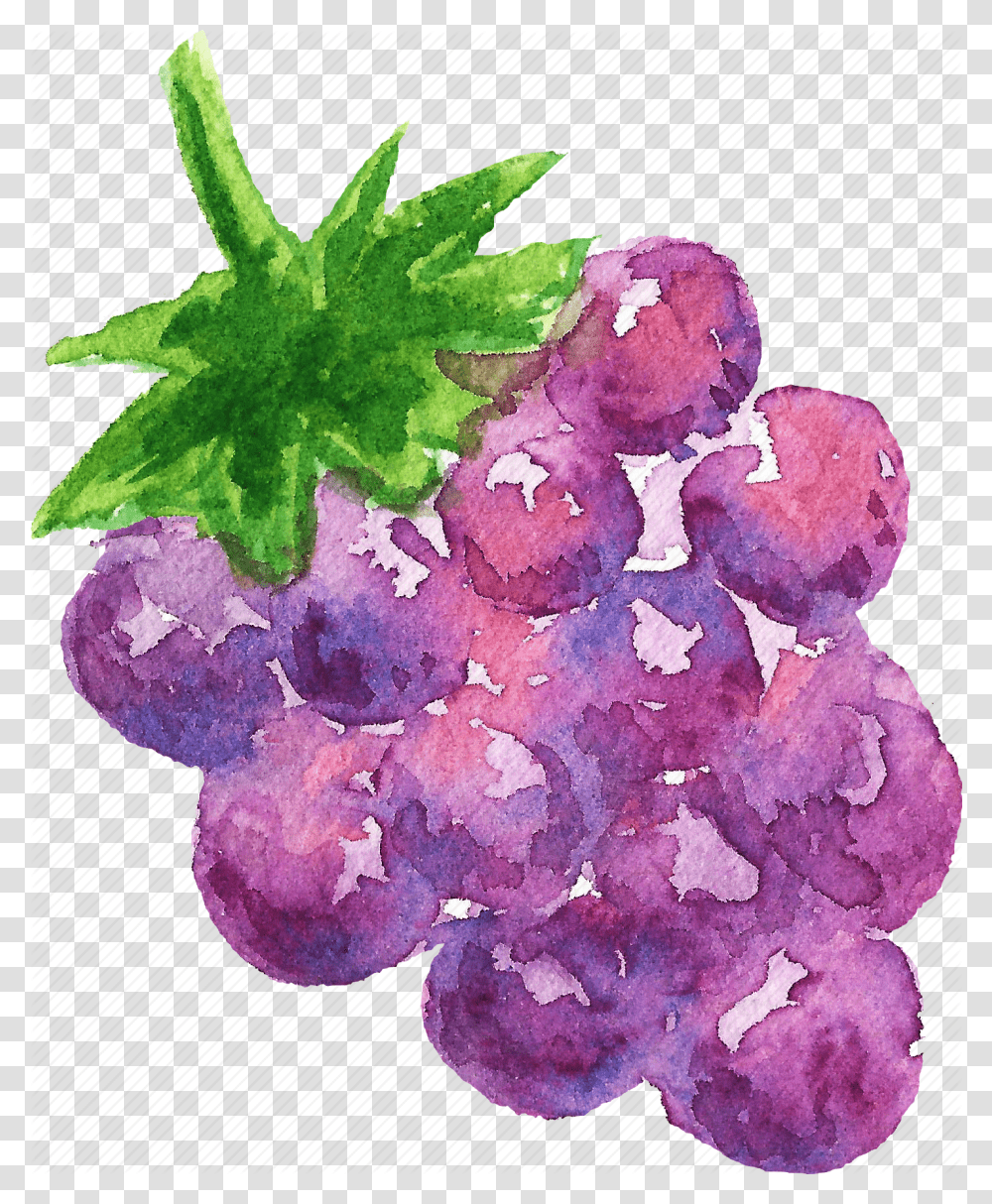 Cuisine Food Fruit Fruits Grape Watercolor Watercolors Watercolor Paint, Plant, Grapes Transparent Png