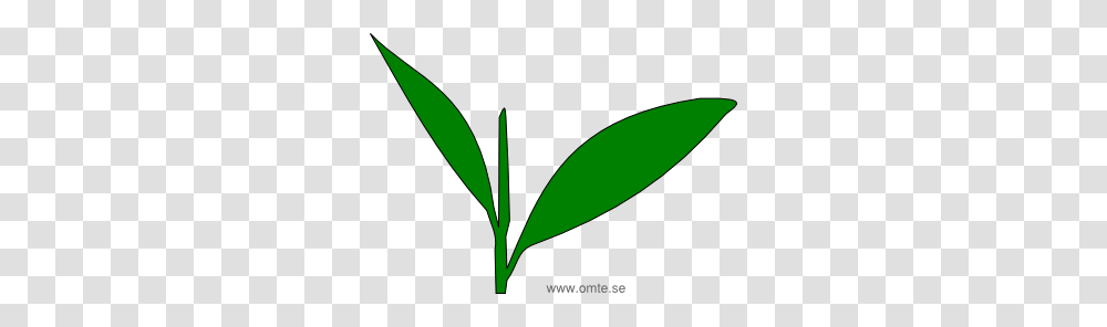 Cultivation Omte Se, Plant, Leaf, Sprout, Flower Transparent Png