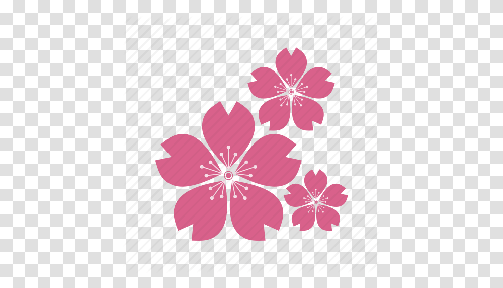 Culture Eco Ecology Flower Flowers Plant Sakura, Blossom, Hibiscus, Petal, Dahlia Transparent Png