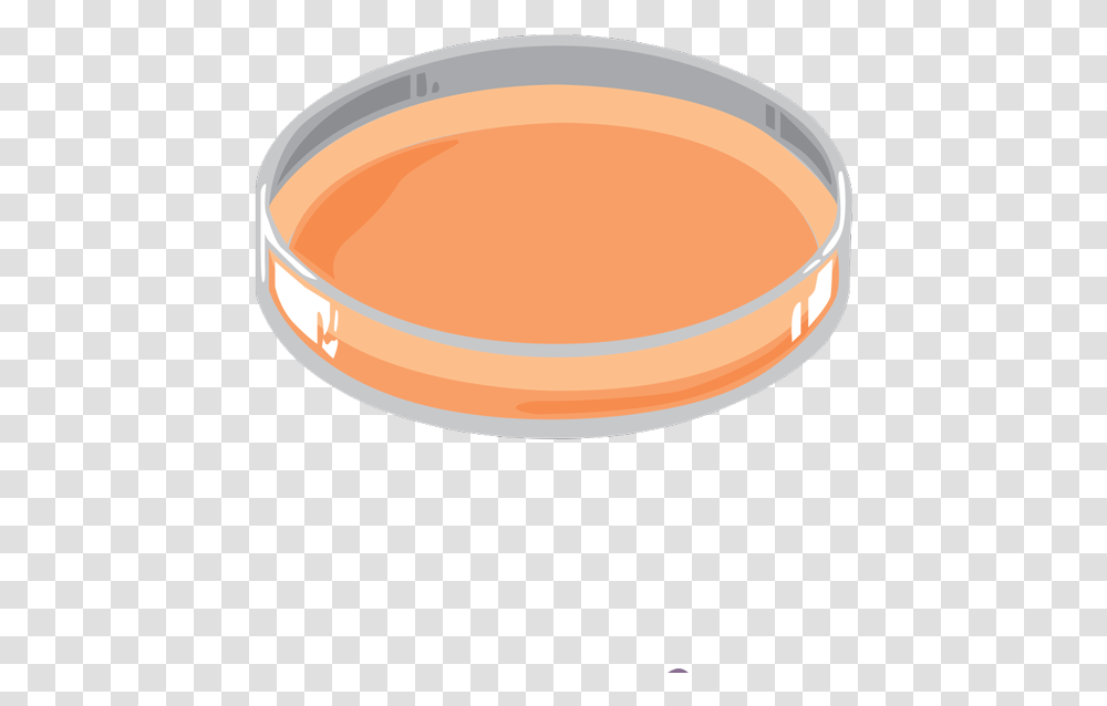 Culture Id, Bowl, Tape, Dish, Meal Transparent Png