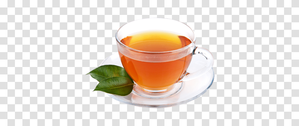 Cup, Tableware, Tea, Beverage, Drink Transparent Png