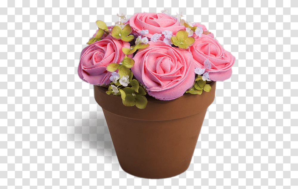 Cupcake Flower Bouquet, Plant, Flower Arrangement, Blossom, Rose Transparent Png