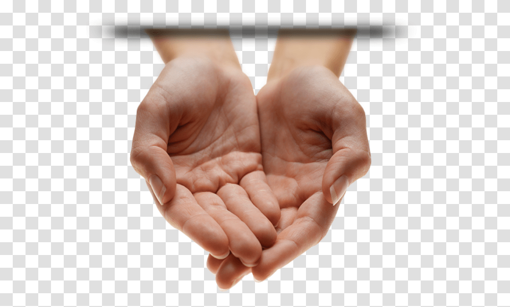 Cupped Palms, Hand, Wrist, Person, Human Transparent Png