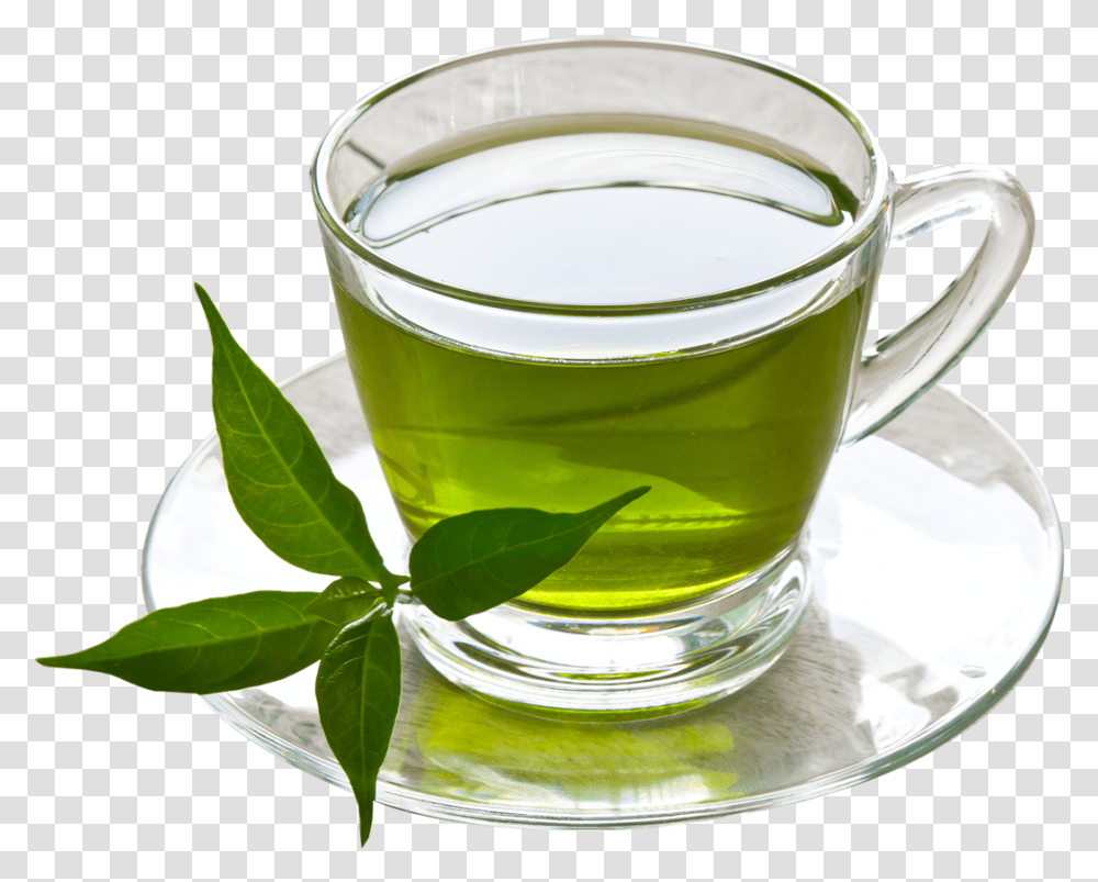 Cups Of Green Tea, Vase, Jar, Pottery, Plant Transparent Png