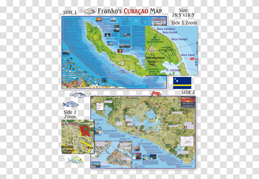 Curacao Dive Map, Diagram, Atlas, Plot, Vegetation Transparent Png