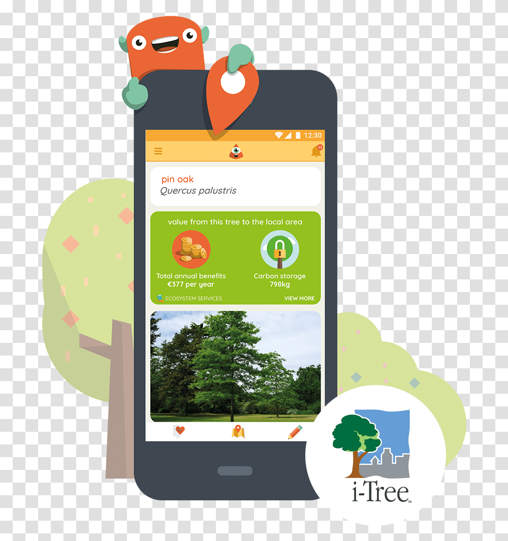 Curio Explore Discover Share Smartphone, Plant, Vegetation, Tree, Text Transparent Png