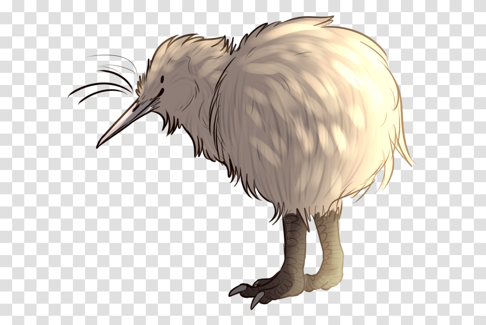 Curious Facts That Prove Kiwis Are Kiwi Bird, Beak, Animal Transparent Png