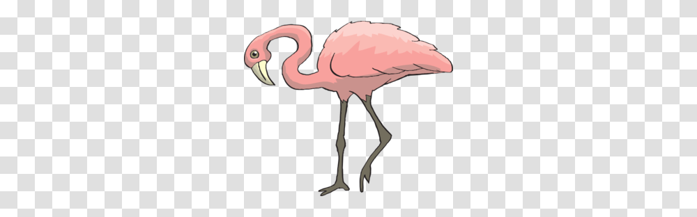 Curious Flamingo Clip Art, Bird, Animal, Helmet Transparent Png