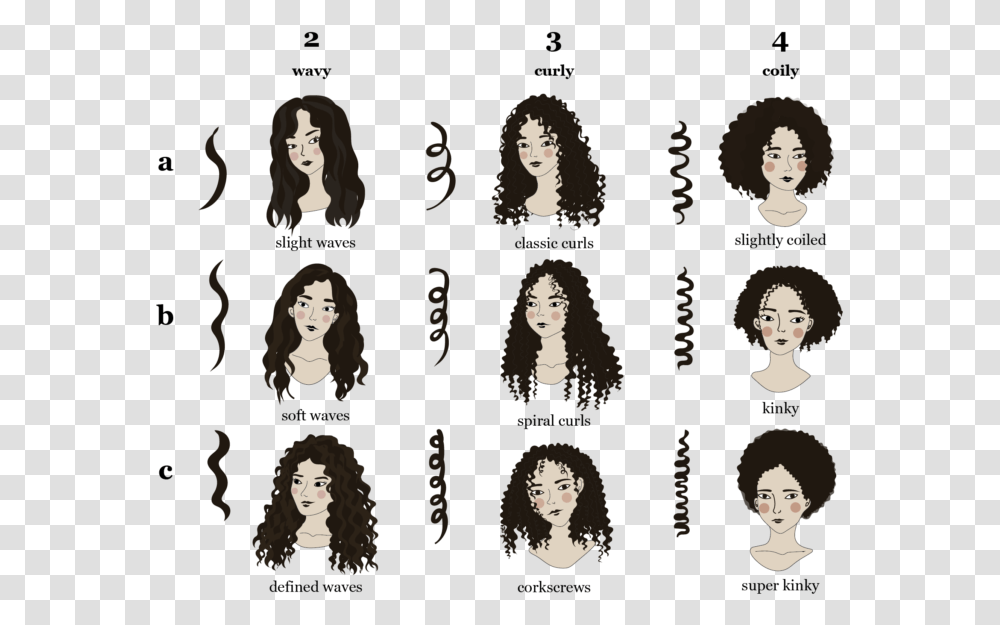 Curl Pattern Types, Head, Face, Person Transparent Png