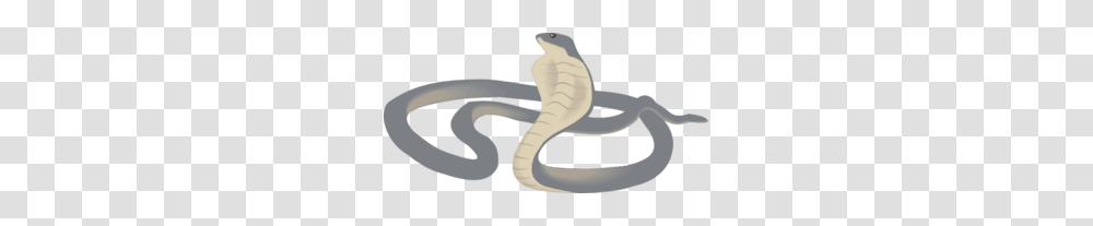 Curled Cobra Clip Art, Animal, Reptile, Snake, Mammal Transparent Png