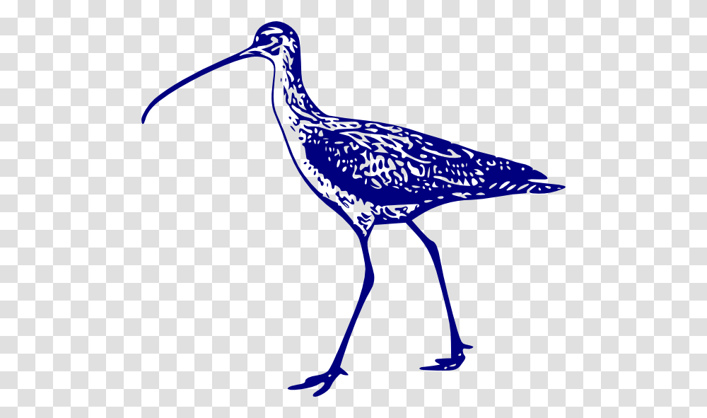 Curlew Clip Art, Beak, Bird, Animal, Crane Bird Transparent Png