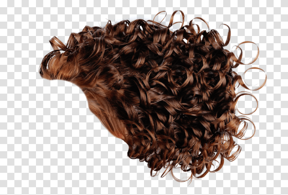Curly Hair 2 Image Curly Hair Men, Animal, Pattern, Fractal, Ornament Transparent Png