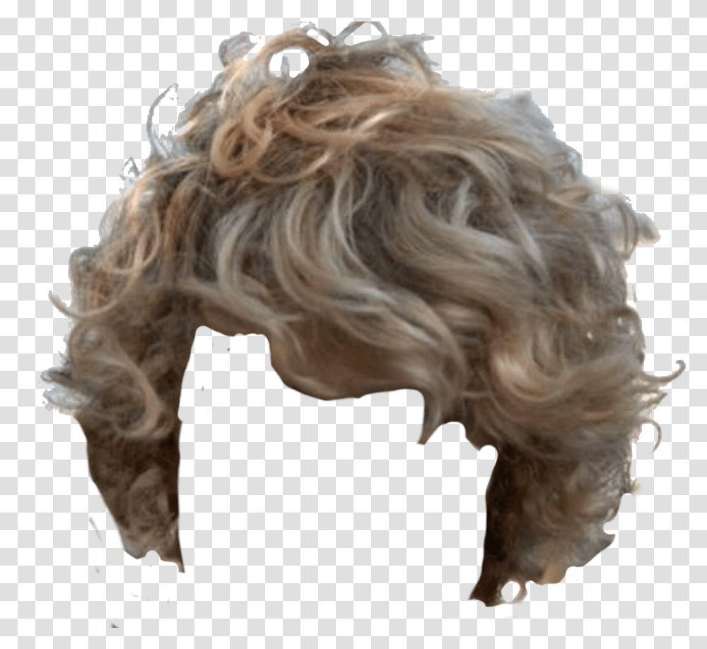 Curly Hair Boy, Person, Human Transparent Png