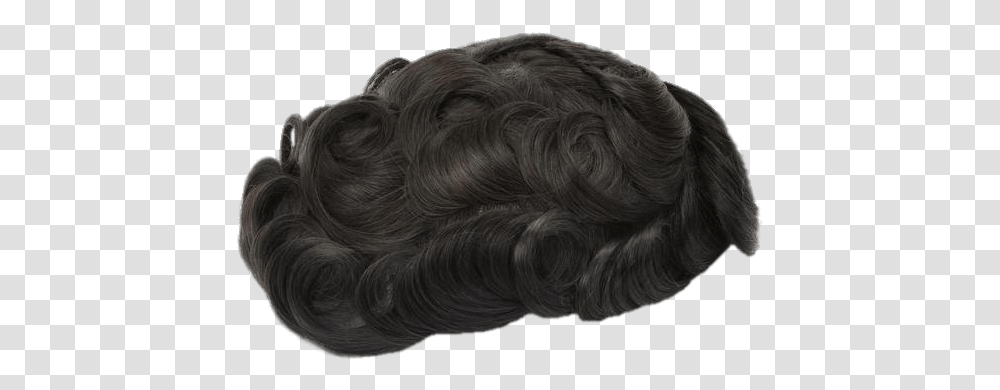 Curly Hair Toupee Toupee, Wig, Black Hair Transparent Png