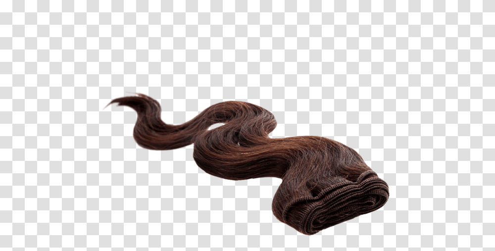 Curly Human Hair Body Wave Weaving, Animal, Reptile, Snake, Outdoors Transparent Png