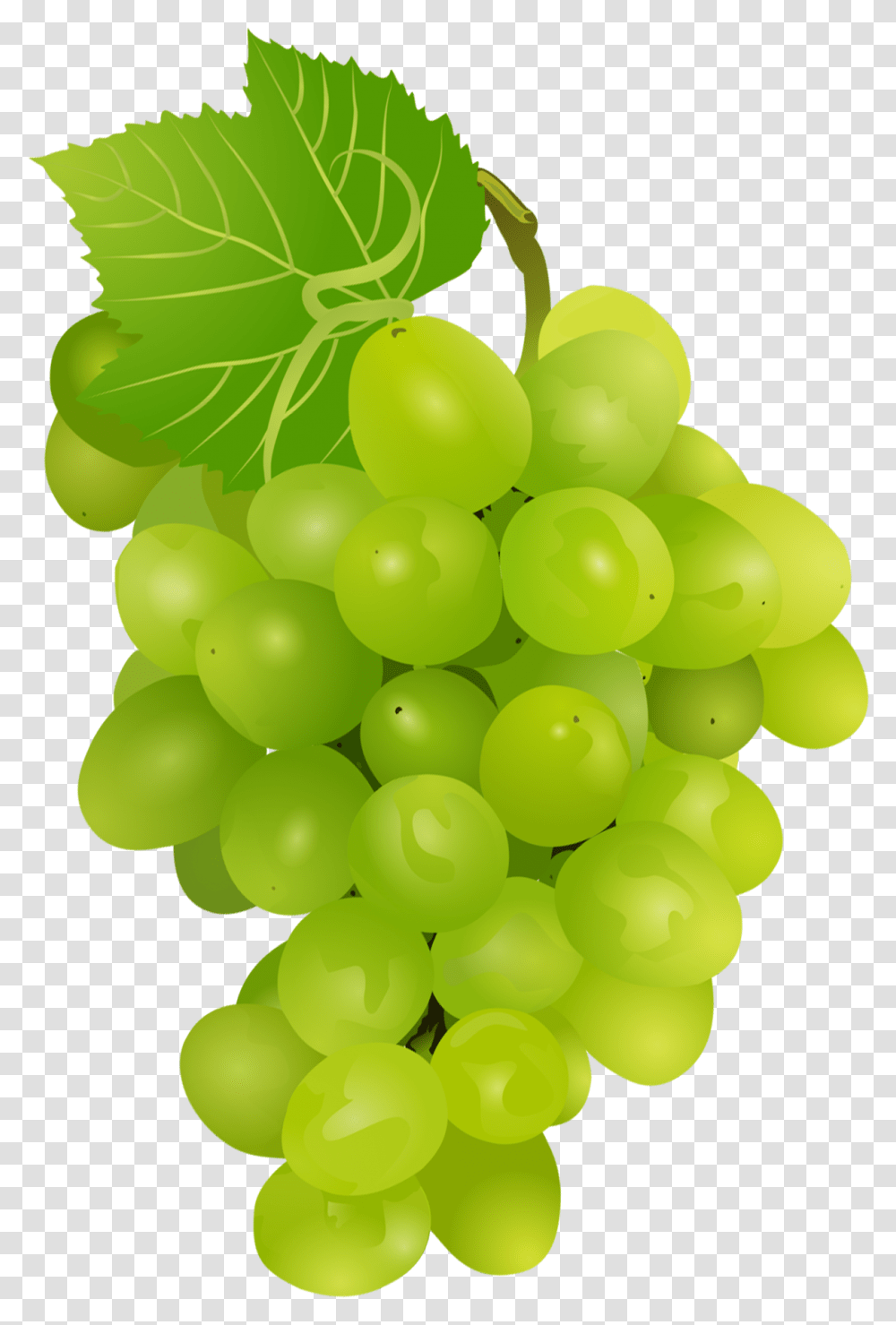 Currant Green Grapes Pngs, Fruit, Plant, Food, Balloon Transparent Png