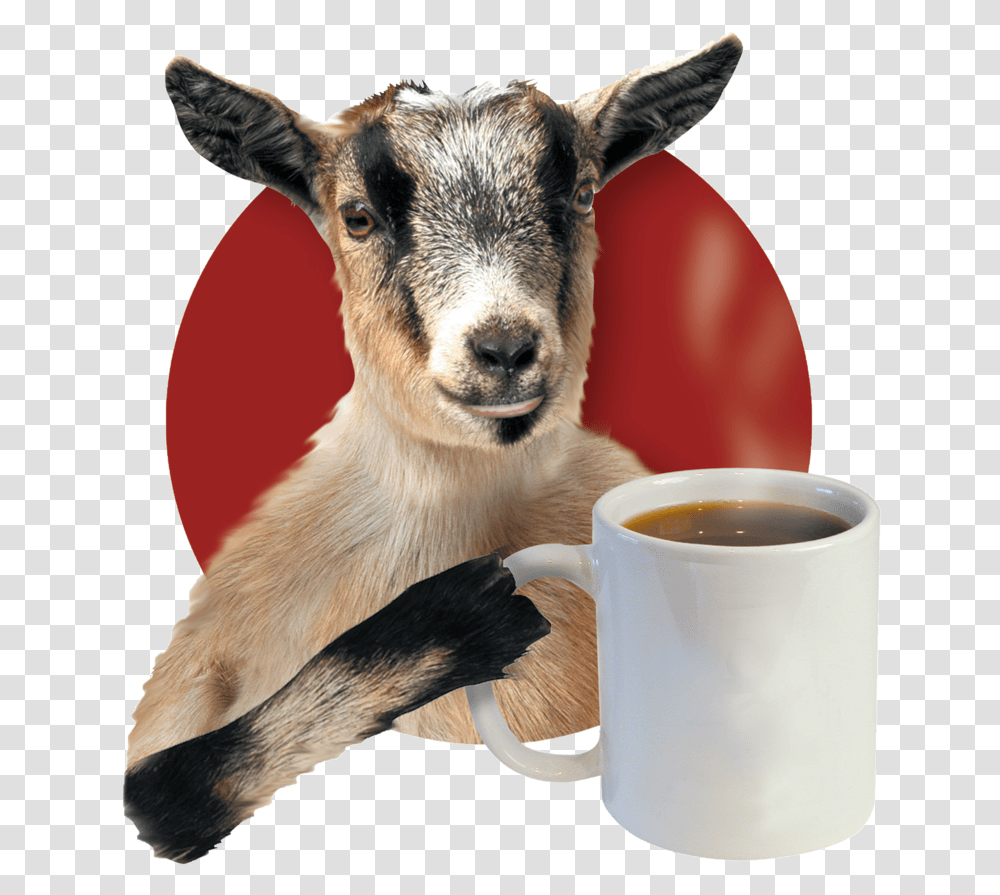 Current Goat Blank Mug Crazy Mocha Pittsburgh, Coffee Cup, Dog, Pet, Canine Transparent Png