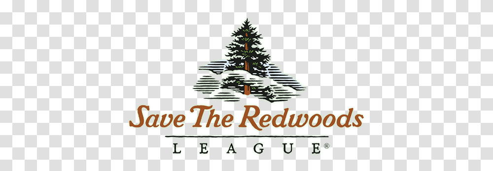 Current Partners Save The Redwoods League, Tree, Plant, Christmas Tree, Ornament Transparent Png